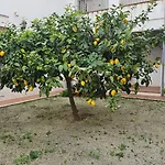 Apartamento Menina San Pedro